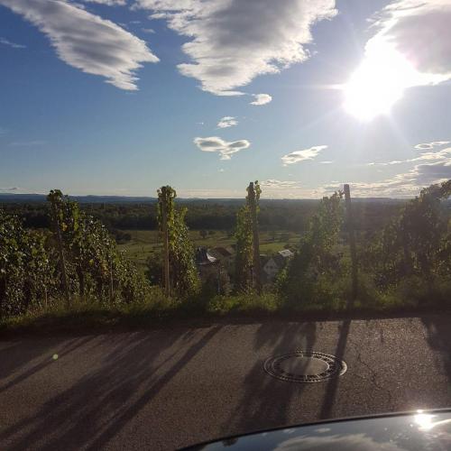 5 Zylinder Jahrestreffen 028