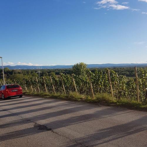 5 Zylinder Jahrestreffen 044